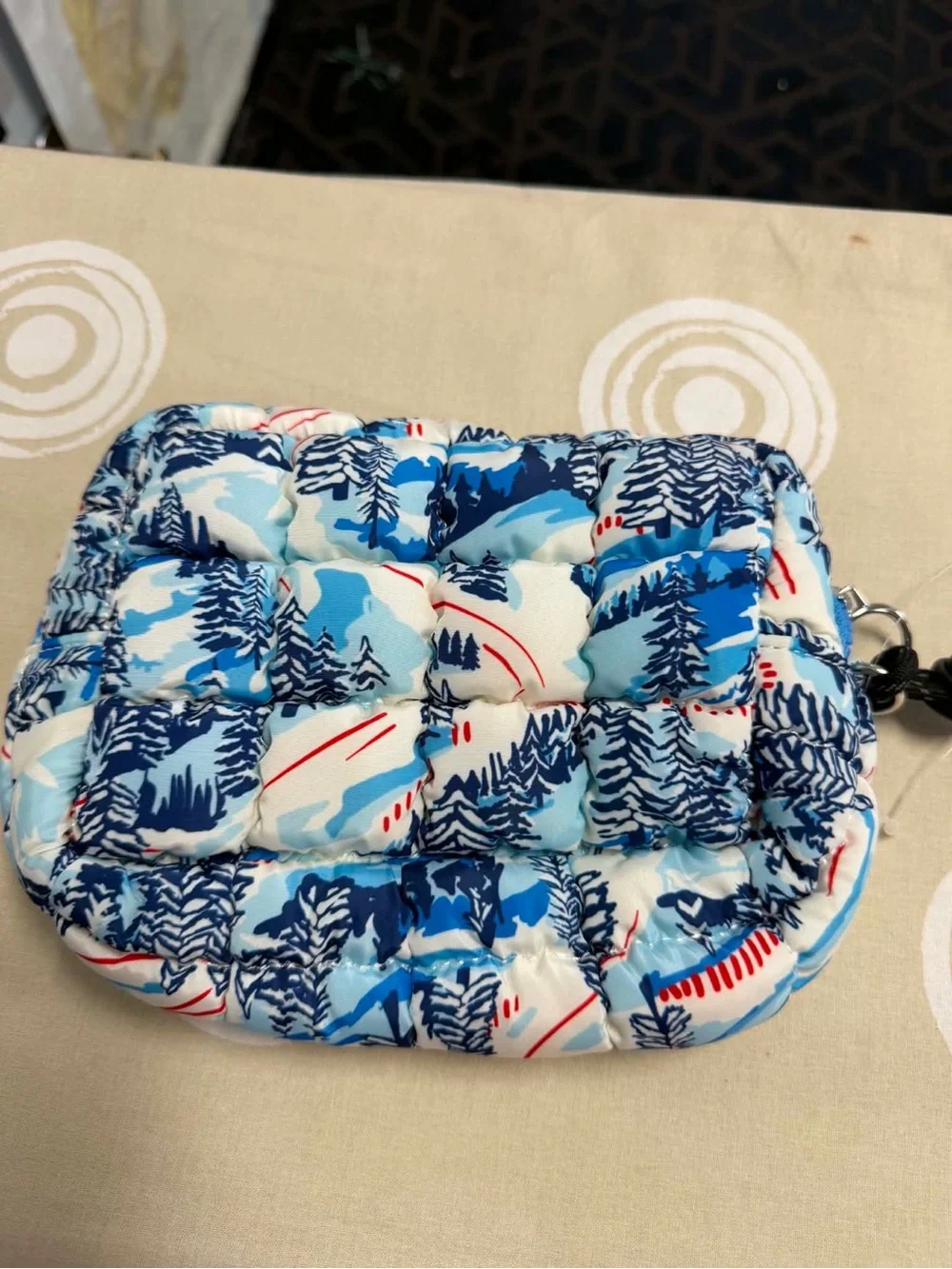 Free People Printed Mini Case